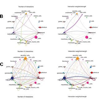Cell-Cell Interaction 的图像结果