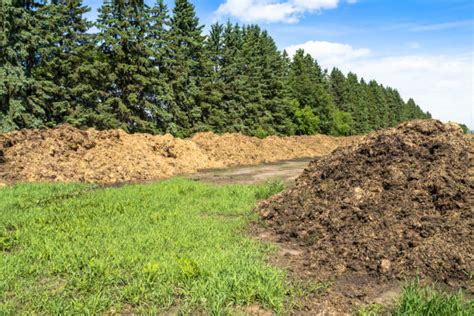 Image result for Compost Windrows