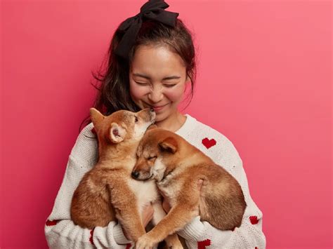 पालूत जानवरों से भी हो सकता है रेबीज, जानें बचाव के उपाय | Rabies ...