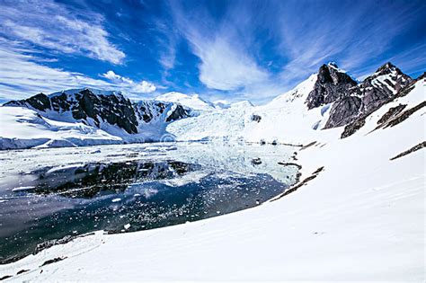 为什么说南极大陆是自然资源极其丰富的地区-传统文化杂谈