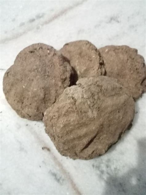 Payandget (PAG) Karnal - Cow Dung Cake Manufacturer and Supplier