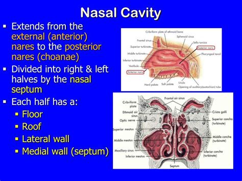 Image result for Redis Java Docket