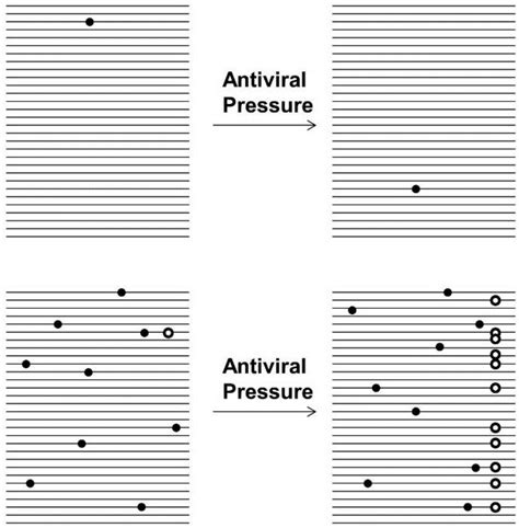 RNA Viruses and RNAi: Quasispecies Implications for Viral Escape