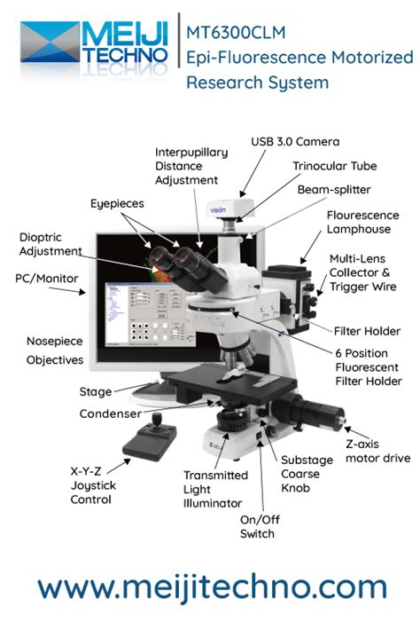 Microscope Terminology 的图像结果