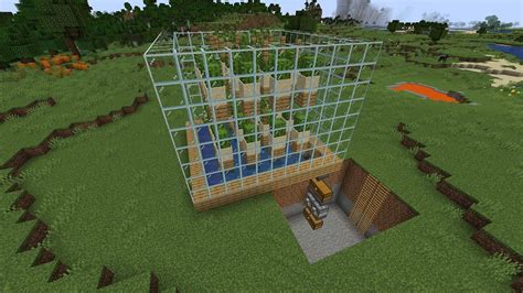 Image result for How to Make a Cactus XP Farm Java