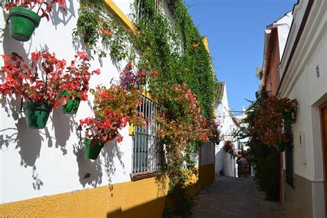 Historical Walking Tour of Estepona 2024 - Marbella - Viator