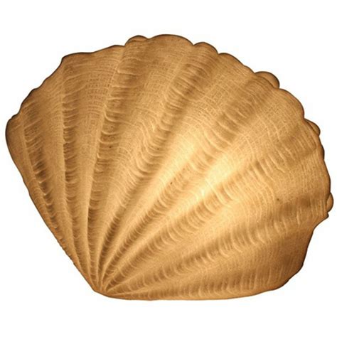 Image result for Shell Column Table Lamp