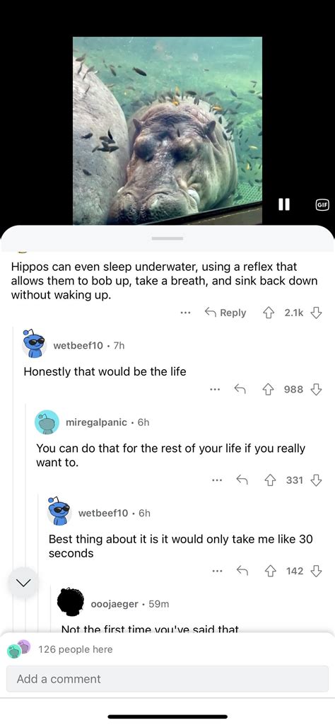 We can replicate hippo behavior : r/HolUp