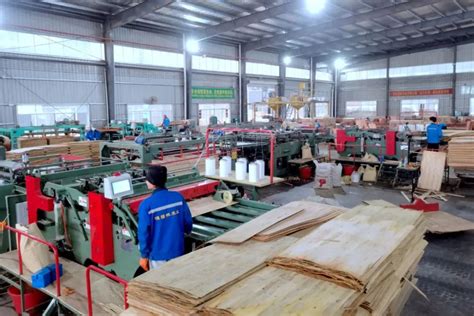 广西祥盛家居等木业企业列入崇左产业工人队伍建设改革试点名单-中国木业网