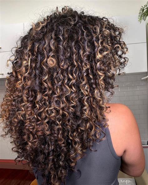 Brunette Curly Hair Highlights