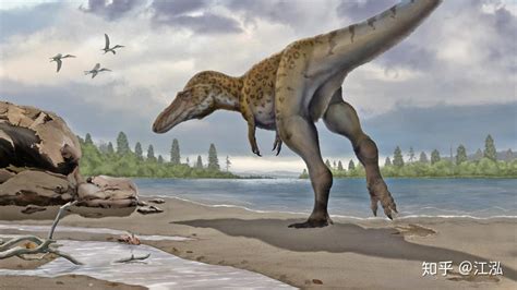 中国南方发现了罕见的霸王龙类脚印化石！ - 知乎