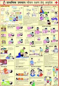 First Aid Chart - Hindi Photographic Paper - Educational posters in ...