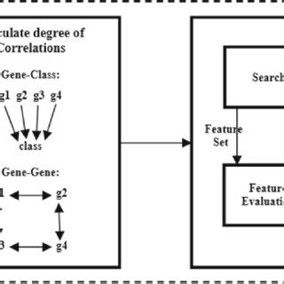 Image result for Correlation Based Feature Selection