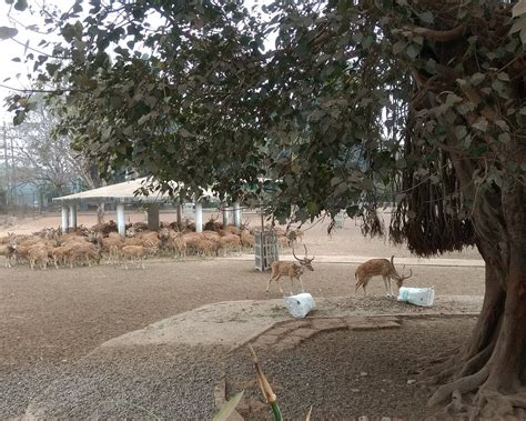 10 BEST Places to Visit in Cuttack - UPDATED 2024 (with Photos ...