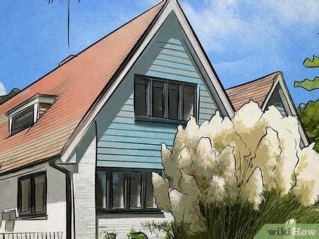 Loofah Color Meaning in The Villages Community: Is It Real?