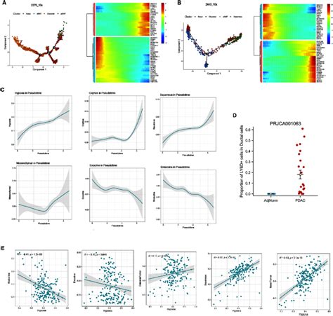 Image result for Dynamic Cell Progress