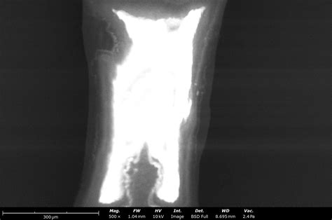 Imaging Signal Resolution for Sem 的图像结果