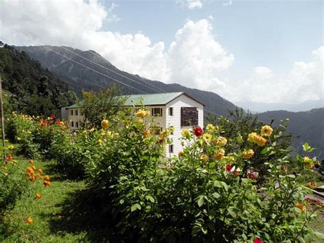 The 10 Best Hotel Deals in Patnitop (Jan 2023) - Tripadvisor