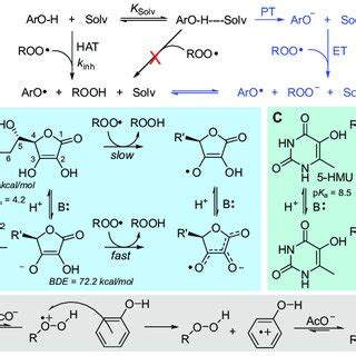 Solvent Effects 的图像结果