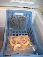 Image result for Amana Small Chest Freezer