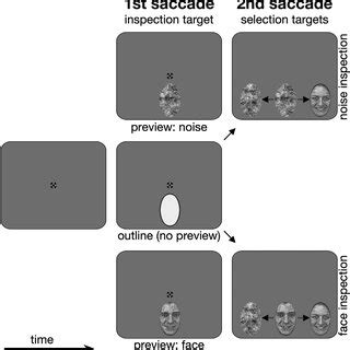 Drift-Diffusion Model 的图像结果