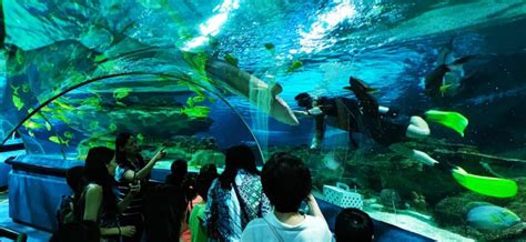 2020北京工体富国海底世界十一（门票+地址+开放时间+游玩项目）信息一览-市区-墙根网