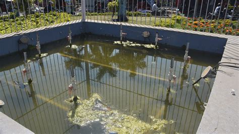 Bhopal: Rotaries in bad shape, setback to beautification drive