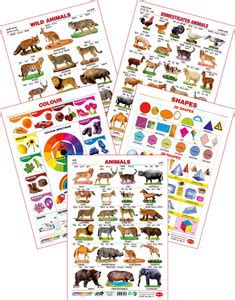 Spectrum Set of 5 Educational Large Wall Charts : ( Wild Animals ...