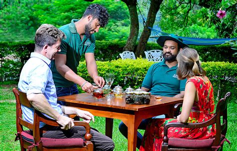 Organic Estate Tour and Tea Experience | Alphonso Stories