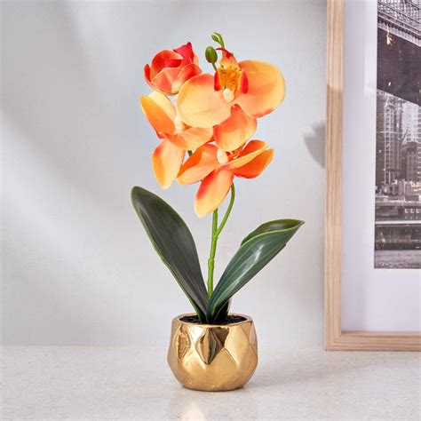 Buy Corsica Artificial Plant in Ceramic Pot from Corsica by Home Centre ...