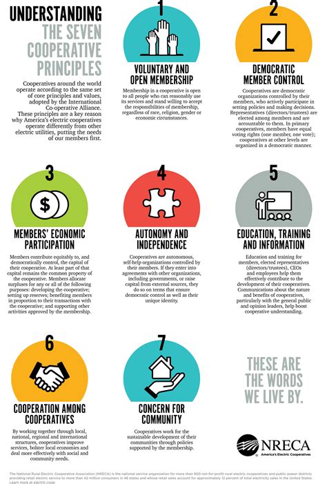 Co-operative Principles 的图像结果