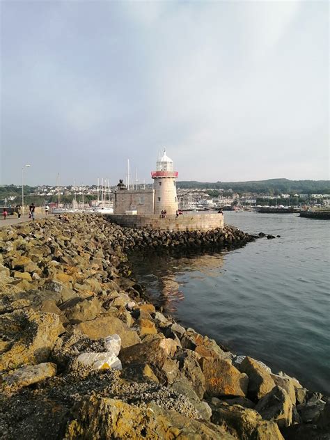 HOWTH SCHOOL OF FISH (2025) All You Need to Know BEFORE You Go (with ...