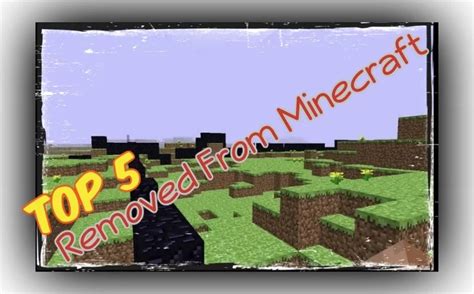 Minecraft Removed Features 的图像结果
