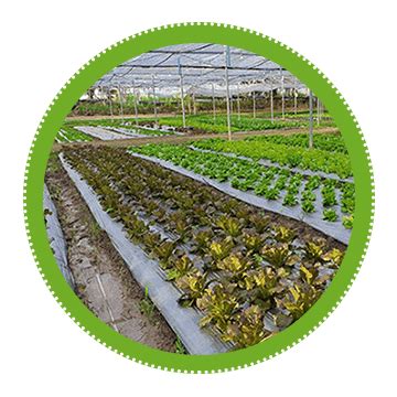 Dr Bio Polymers| Ecofriendly Compostable Bags | Sustainable choice for ...