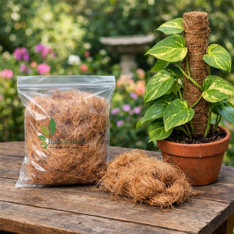 Coconut Husk 200 Gm