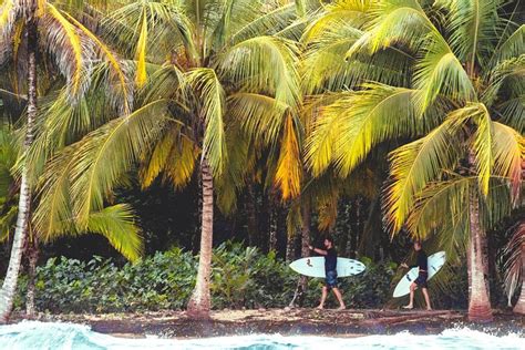 2023 Selina Surf Club Playa Bocas del Toro Panama