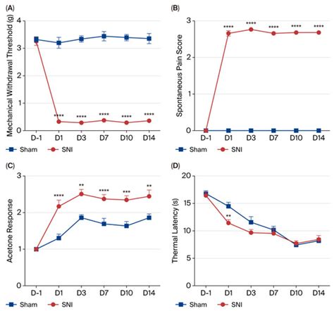 Biomarker Signatures in Time-Course Progression of Neuropathic Pain at ...