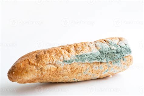 Moldy White Bread