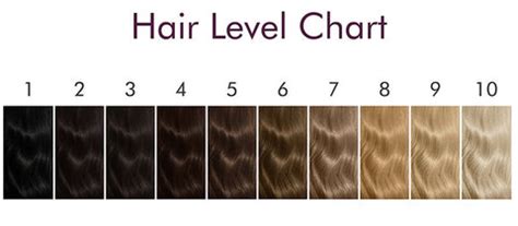 Hair Color Levels: Everything You Need To Know! – Paradyes