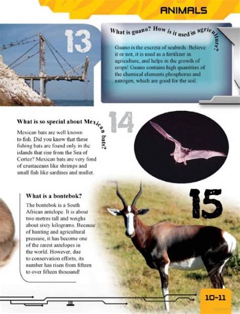 Green Genius's 101 Questions and Answers: Exciting Environment – Books ...