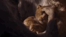 Image result for Cub Simba Scared