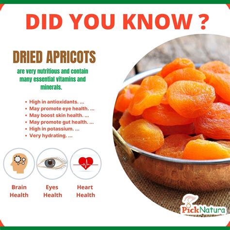 Dried Apricot Benefits | Apricot health benefits, Apricot benefits, Food health benefits