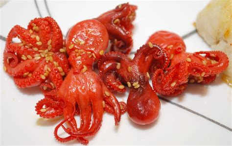 Image result for Cooked Squid