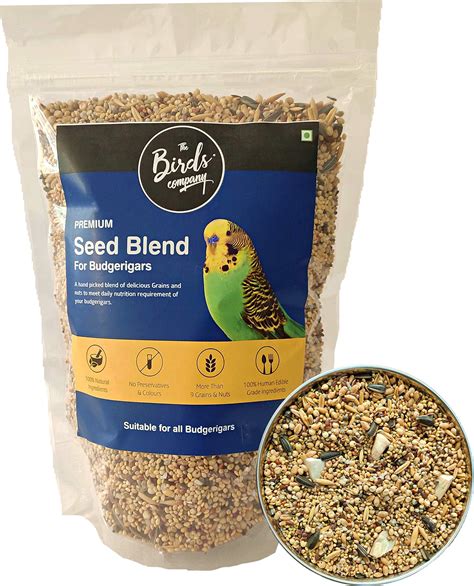Buy The Birds Company All Life Stages Premium Seed Blend of 9 Grains ...