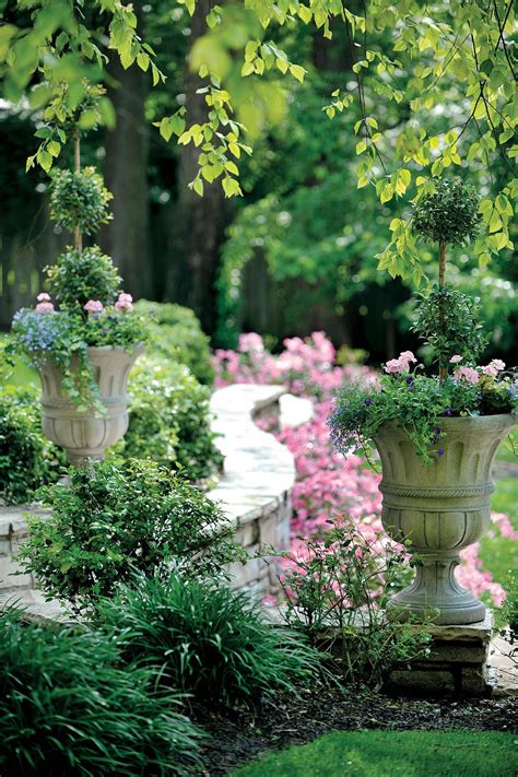 Annuals On Sale Near Me - Garden Plant