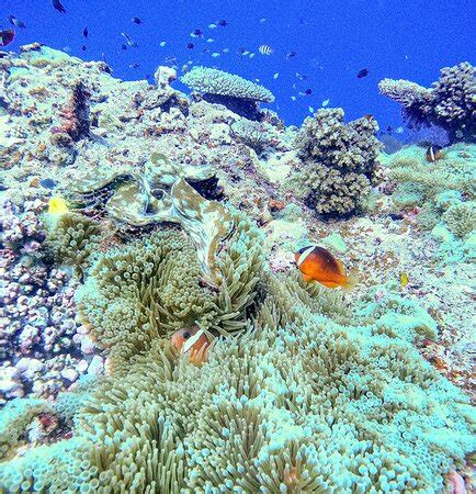 Tokoriki Diving (Tokoriki Island) - 2022 What to Know Before You Go ...