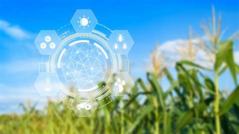 Agriculture Infographic 的图像结果