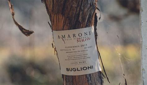 CANTINA BUGLIONI (2026) All You Need to Know BEFORE You Go (with Photos ...