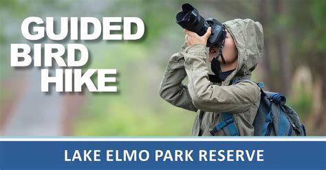 Bird Hike at Lake Elmo Park Reserve, Lake Elmo Park Reserve, 9 November ...