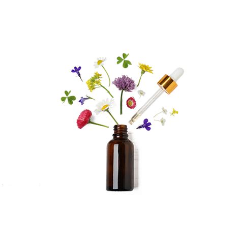 Buy Best Hair Oil for Babies & Kids Online - Old School Rituals